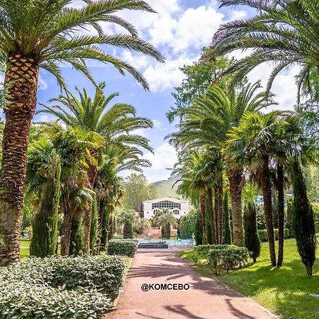 Appartement T1 Bis Avec Jardin Prive Et Piscine, 4 Pers, Cambo-Les-Bains - Fr-1-495-13 المظهر الخارجي الصورة