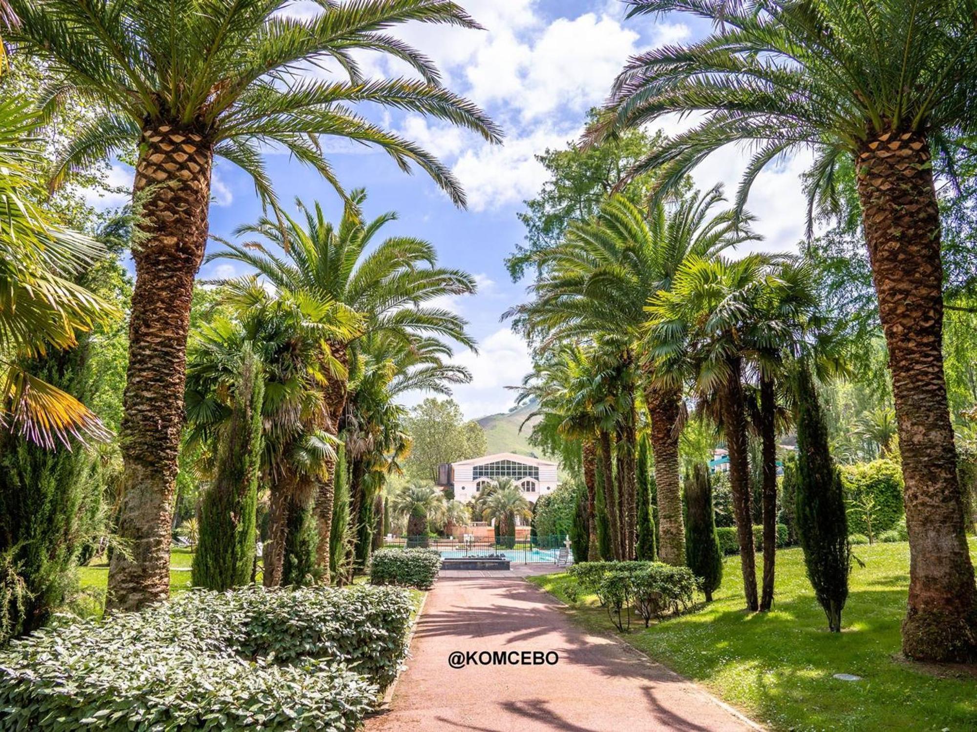 Appartement T1 Bis Avec Jardin Prive Et Piscine, 4 Pers, Cambo-Les-Bains - Fr-1-495-13 المظهر الخارجي الصورة